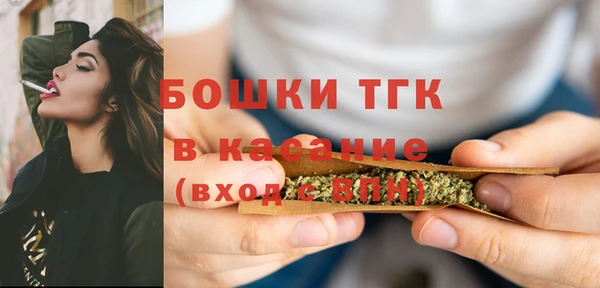 шишки Краснослободск