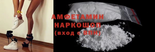 шишки Краснослободск