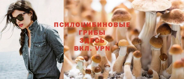 не бодяженный Красноперекопск