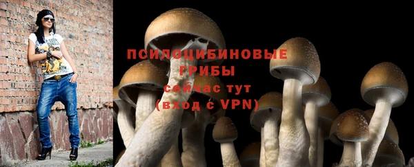 герыч Коряжма