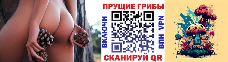Купить где  Бологое  Псилоцибиновые грибы Magic Shrooms 